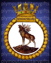 HMS Newfoundland Magnet